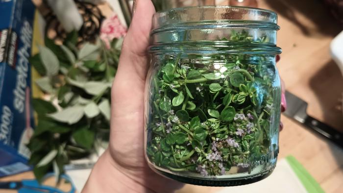 Thyme packed loosely into half-pint jar