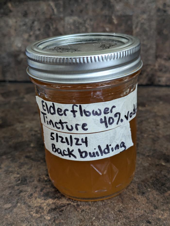 The finished strained elderflower tincture