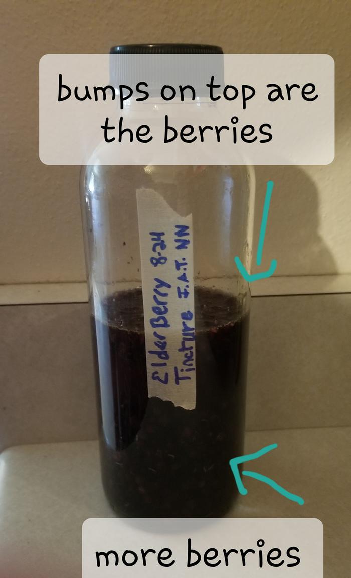 berries plus vodka