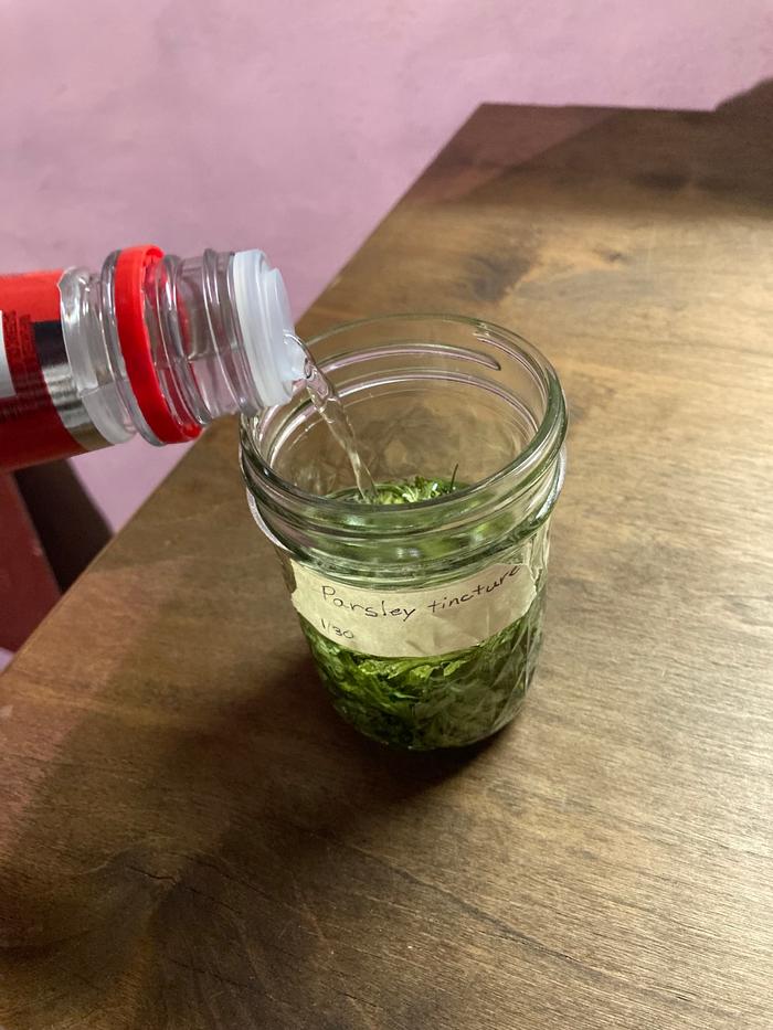 Making the parsley tincture