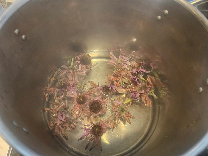 Flowers in water 