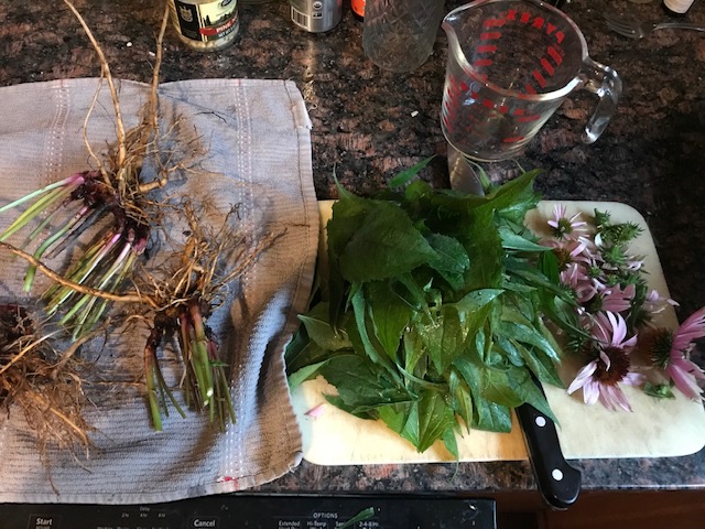 Cleaned and separated roots, leaves and flowers