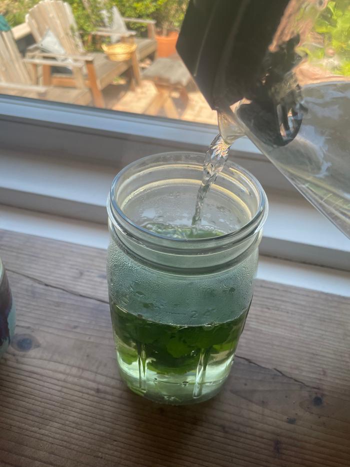 Steeping the lemon balm