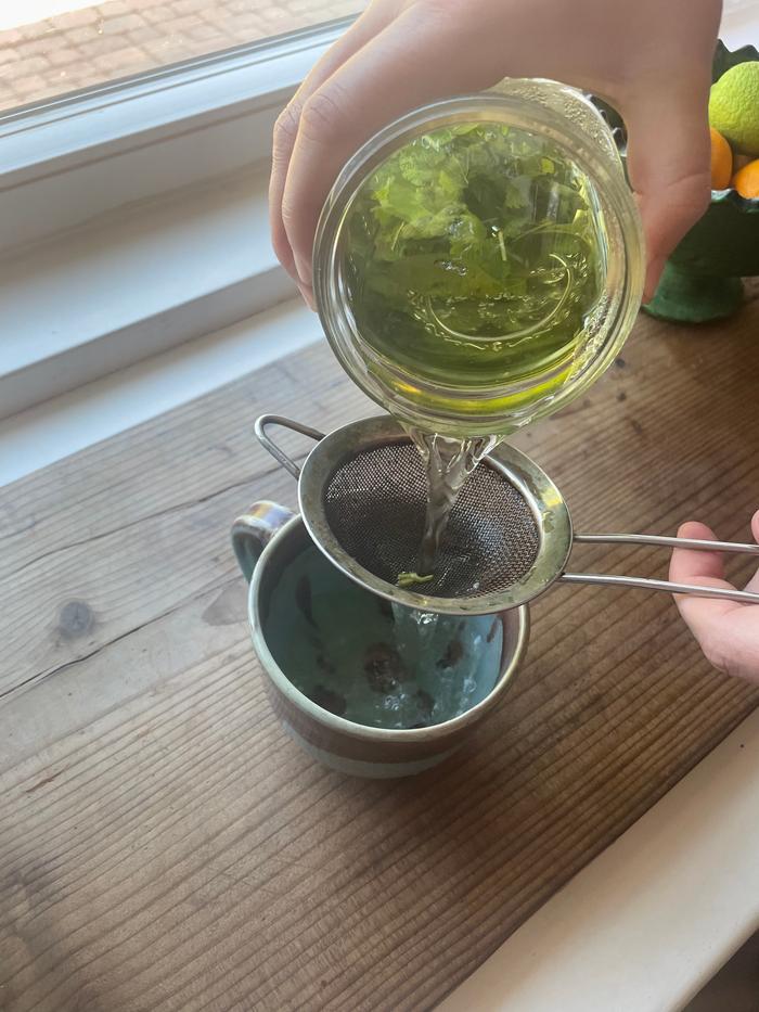 filtering lemon balm leaves out of lemon balm infusion