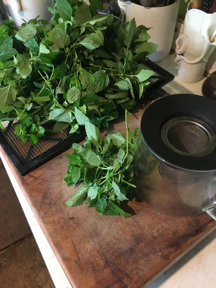 in the kitchen