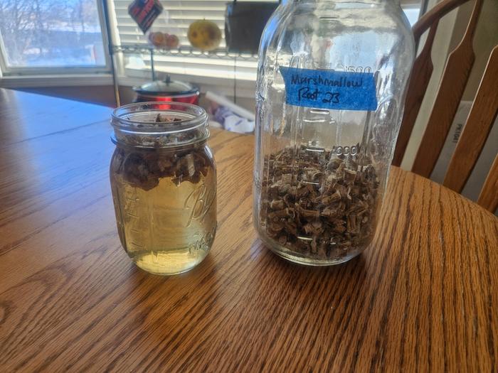 Marshmallow infusing