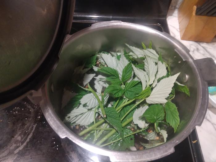 leaves added to boiling water