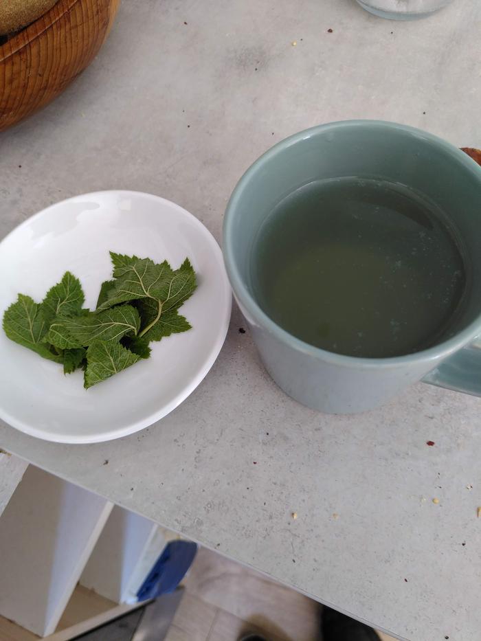 finished raspberry leaf tea