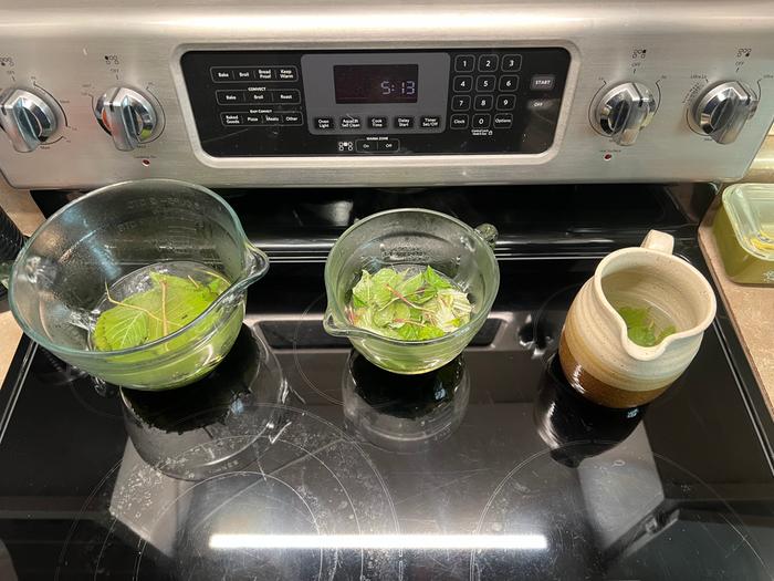 Making infusion (in the middle glass measuring bowl)