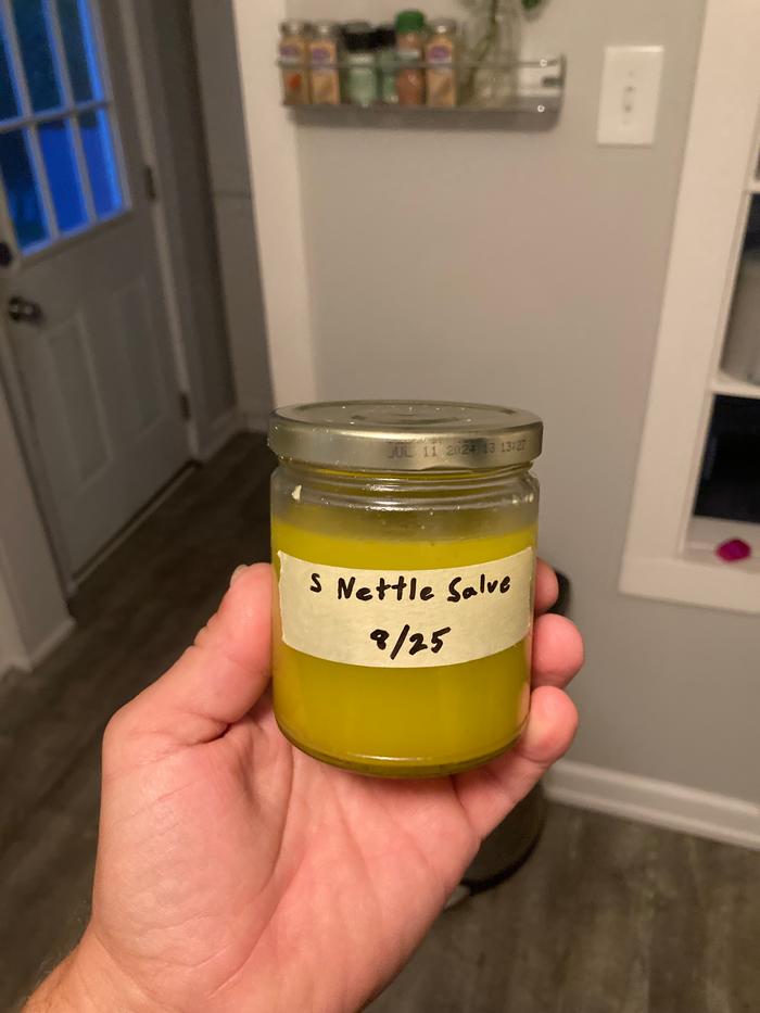 Finished stinging nettle salve