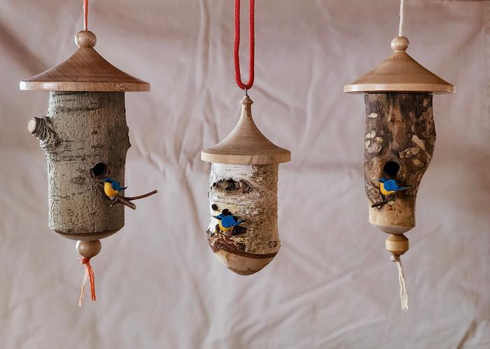 [Thumbnail for MiniBirdHouses.jpg]