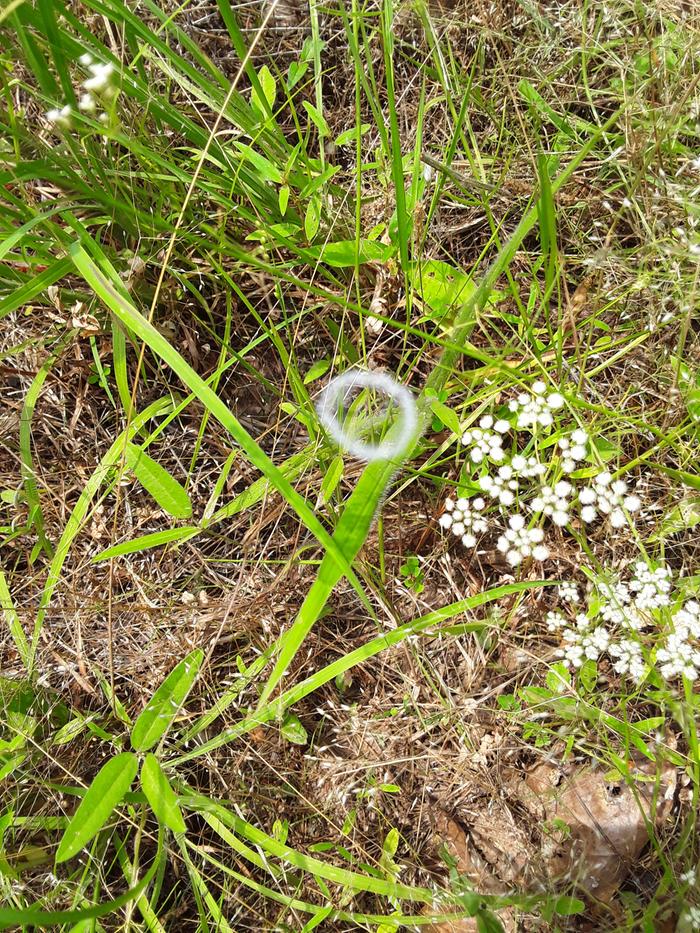 [Thumbnail for 20210624_114207.jpg]