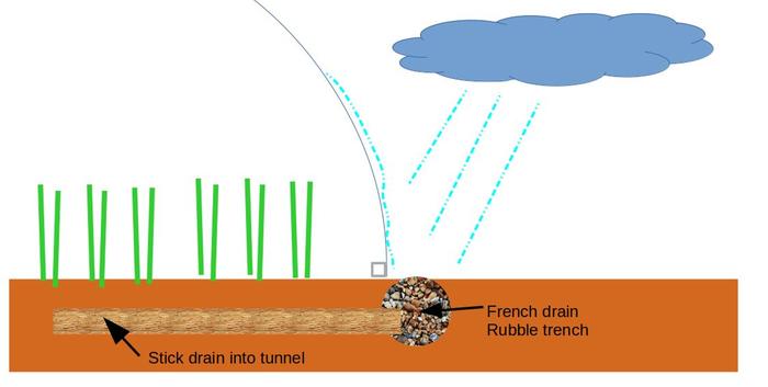 Stick drains to irrigate polytunnel