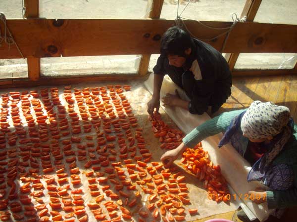 I cut them raidally and stand them skin-side-down for fast drying and not sticking 