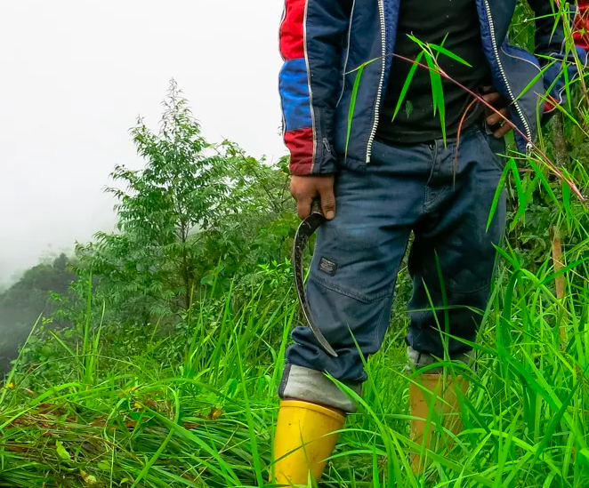 [Thumbnail for Screen-Shot-2021-07-03-at-9.33.01-AM.png]