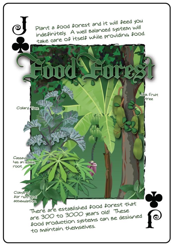 [Thumbnail for Food-Forest.png]
