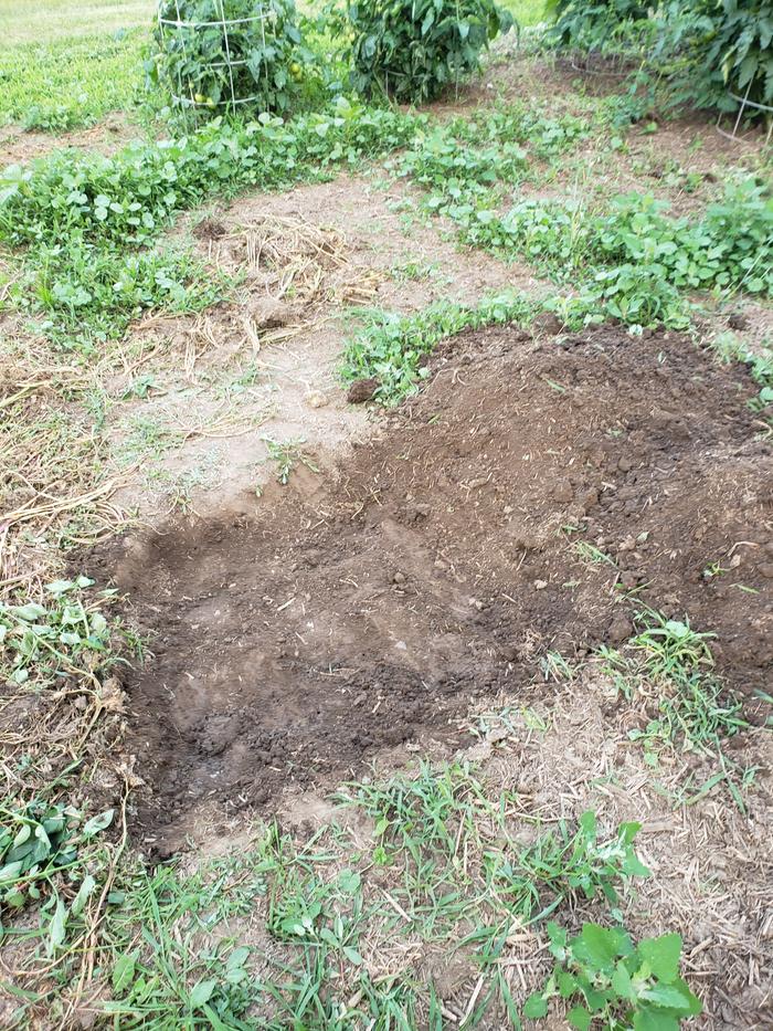 Dig hole