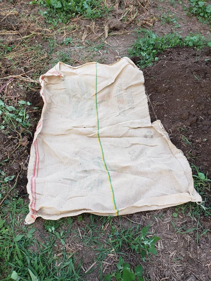 Line with burlap coffee sack