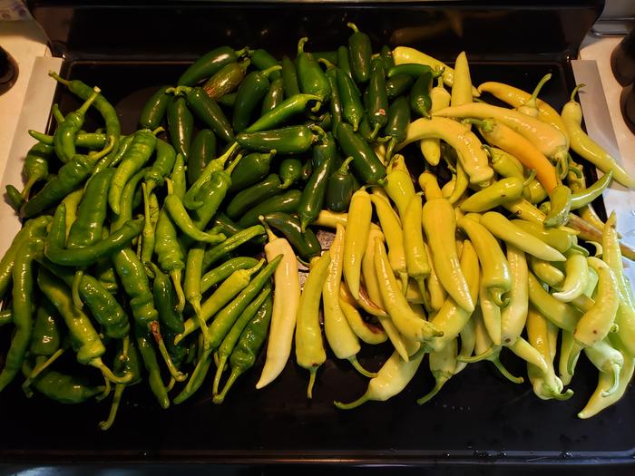 Peppers! So many peppers...