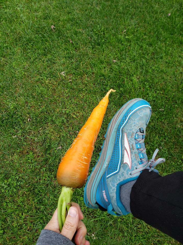 Small feet or big carrot?