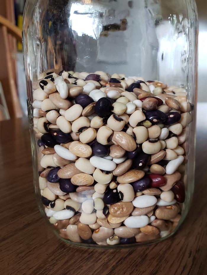 Dried beans