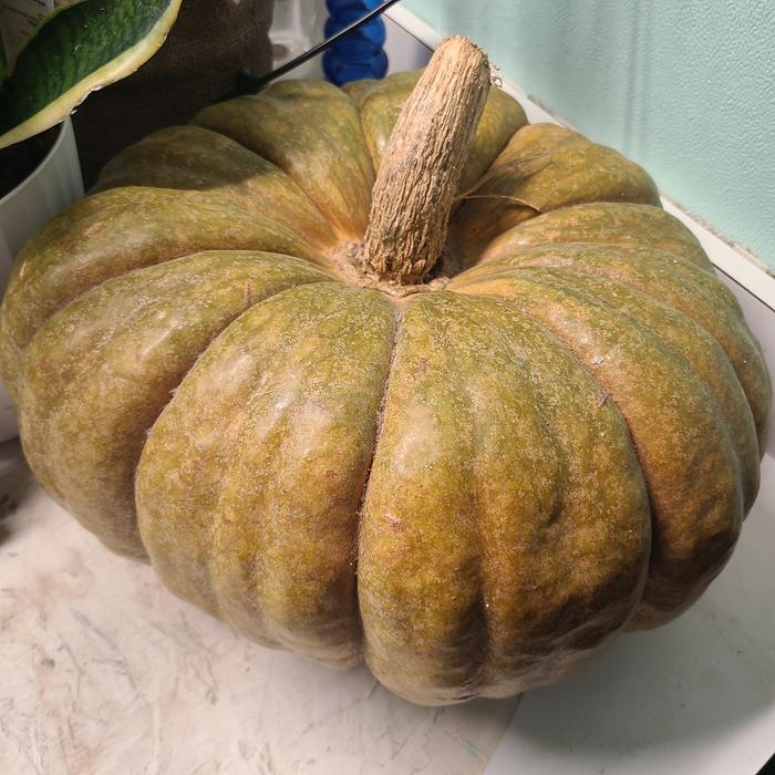 My last fruit from October 2025