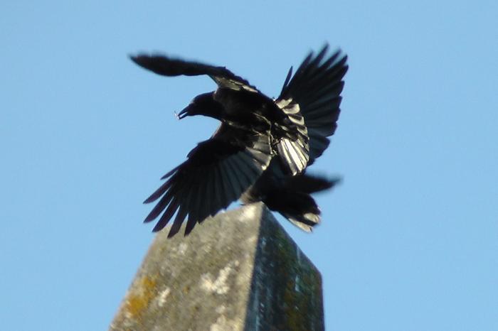 [Thumbnail for 404.JPG]