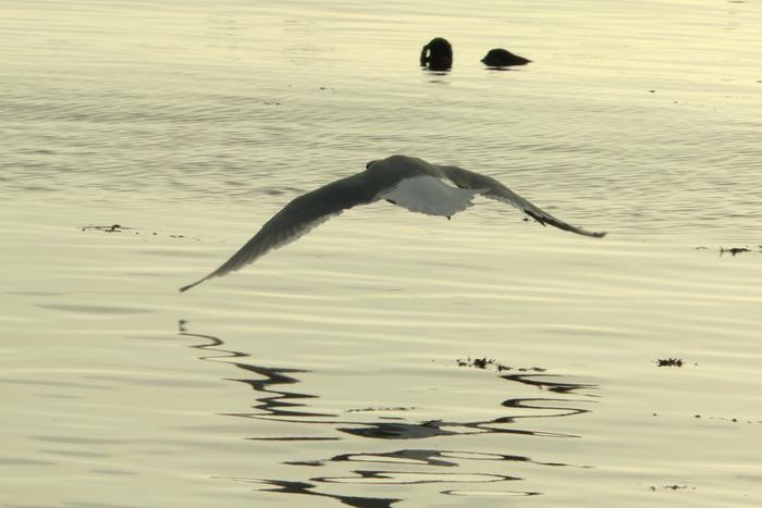 [Thumbnail for 043.JPG]