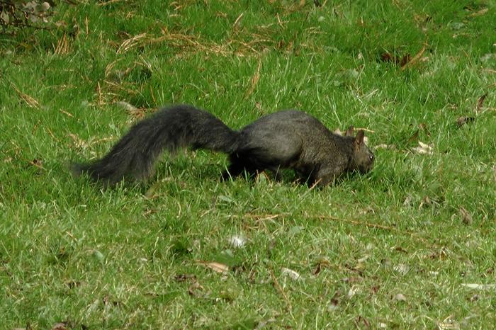 [Thumbnail for 077.JPG]