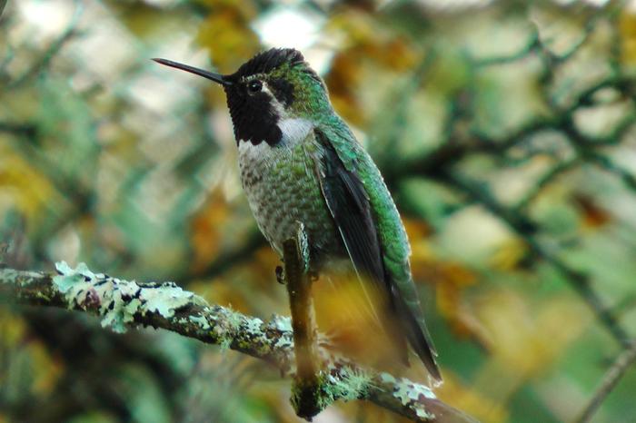 [Thumbnail for 041.JPG]