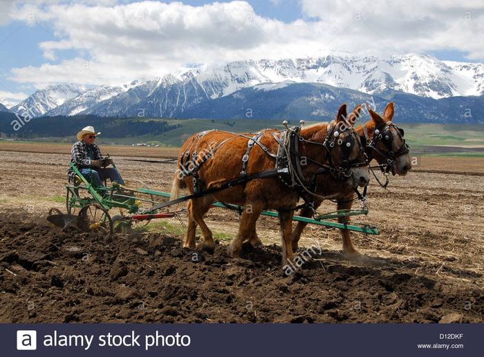 8 hoof drive no battery needed... hay required