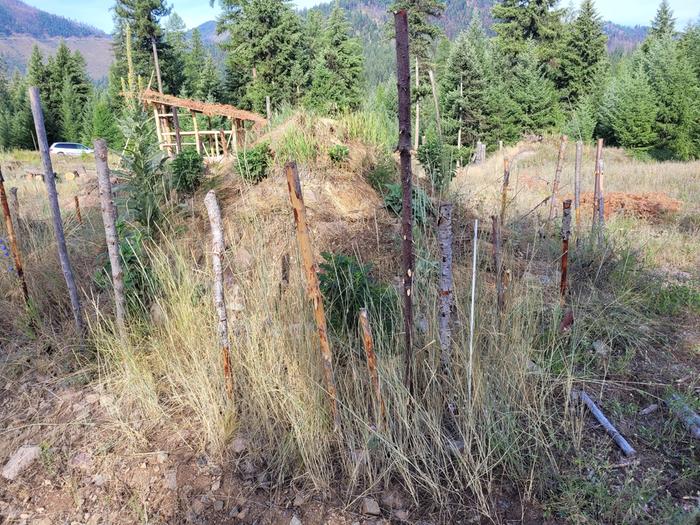 a one season fence going back up around pyramid hugel On Narrow Pond