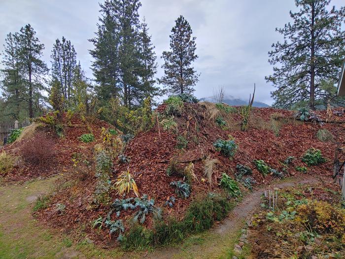 [Thumbnail for more-mulched-hugels.jpg]