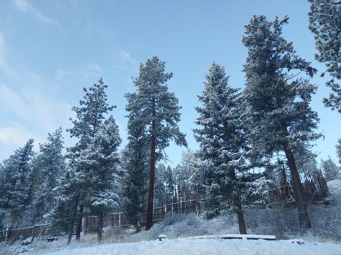 The first big snow of winter