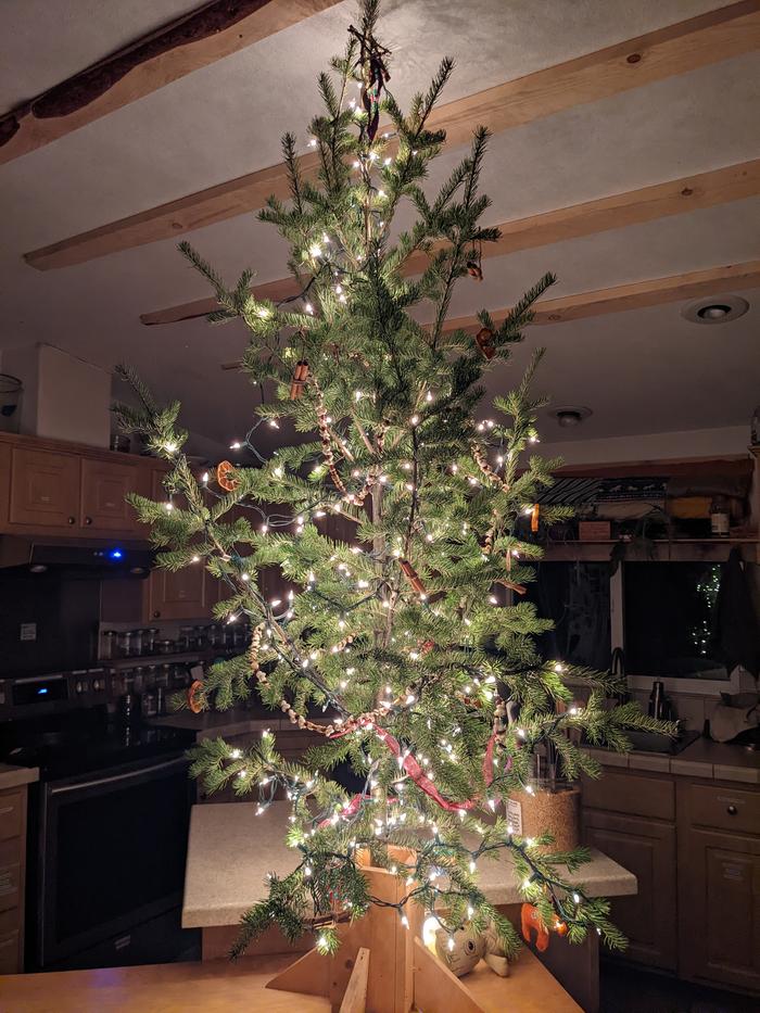 Delightful 🎄