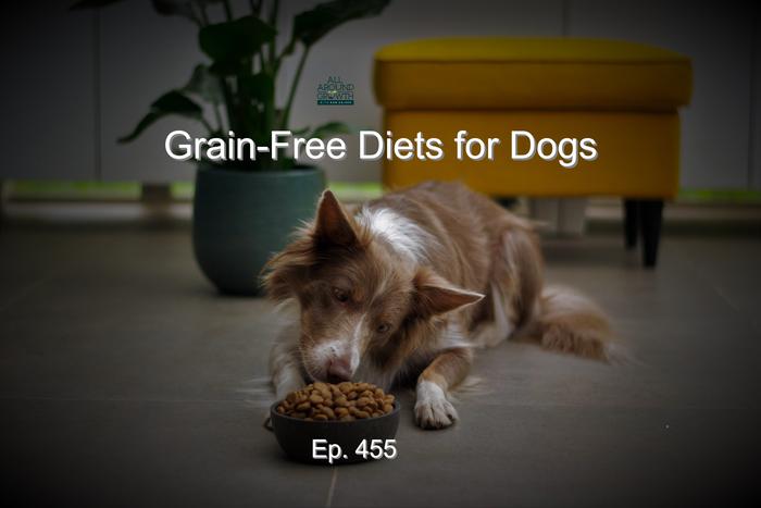 [Thumbnail for Ep.-455-Grain-Free-Diets-for-Dogs.jpg]