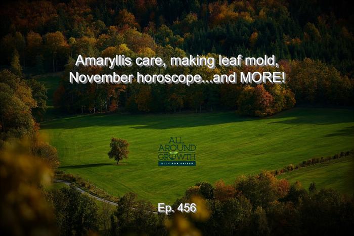 [Thumbnail for Ep.-456-Amaryllis-care-making-leaf-mold-November-horoscope...and-more.jpeg]