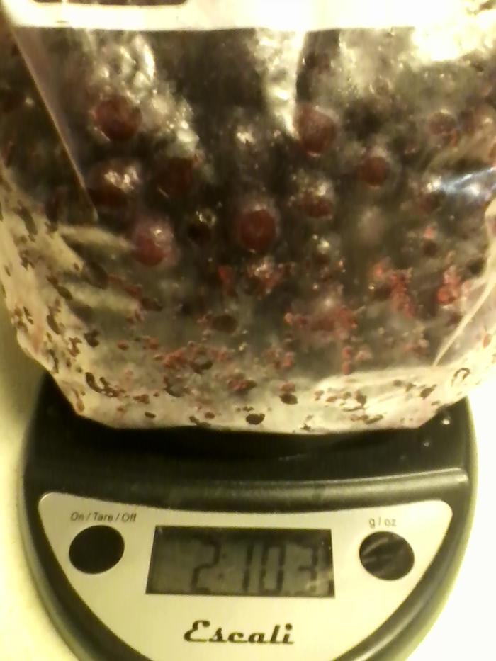 2.5 pounds blueberries--freezer--approx. 640 calories