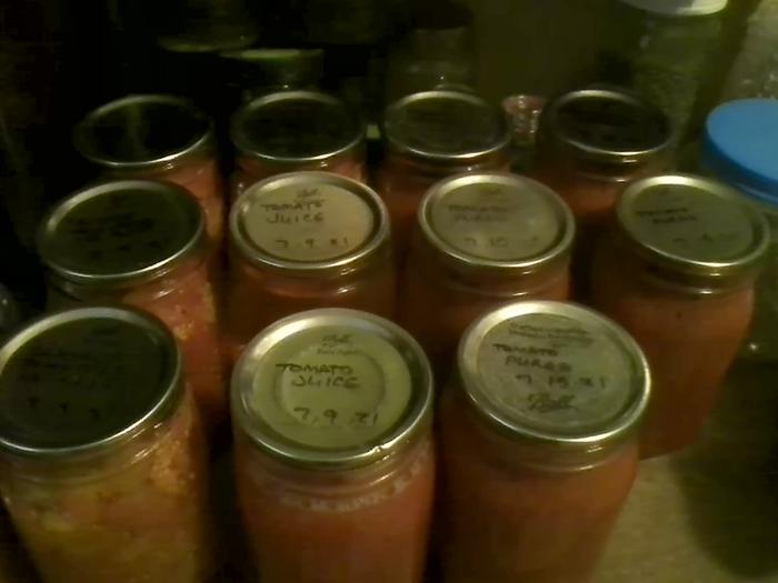 11 quarts tomato sauce, juice, and puree--canned--approx. 3000 calories