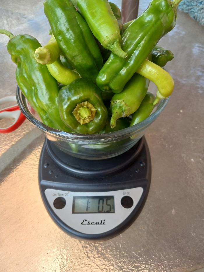 90 calories