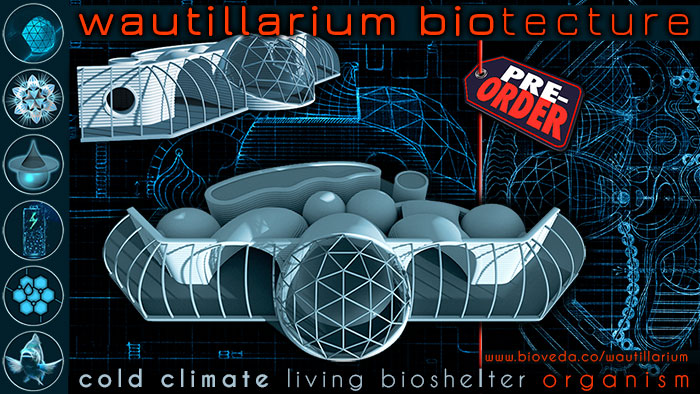 [Thumbnail for youtubewixWAURTILLARIM700graphic-Recovered.jpg]