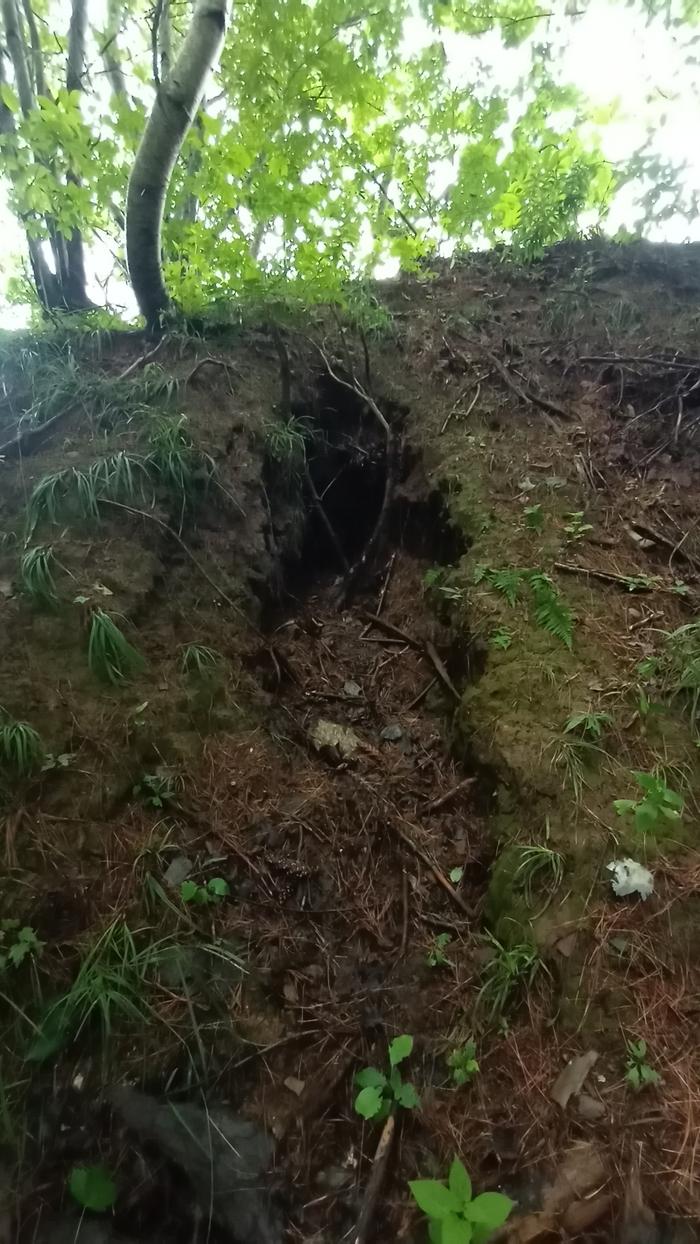 one of the spots where water has worked its way into the ground from the field above, eroding away the hillsite