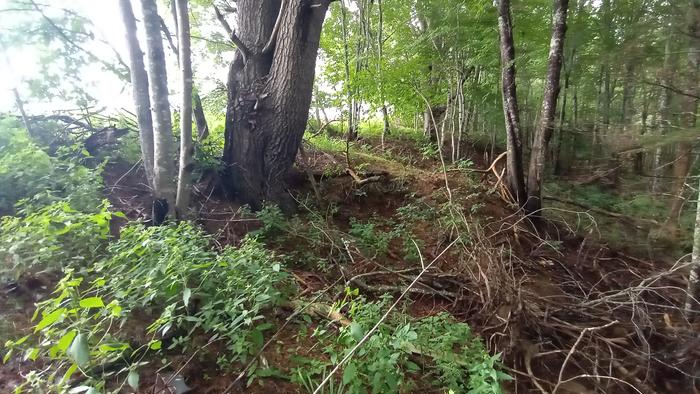 general erosion on the hillside