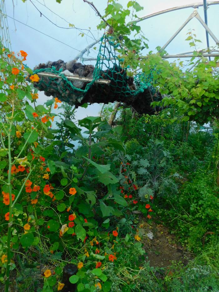 fleece hammock in potytunnel