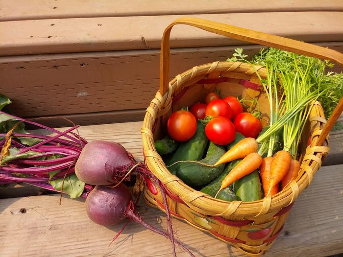 Aunts Washington harvest basket