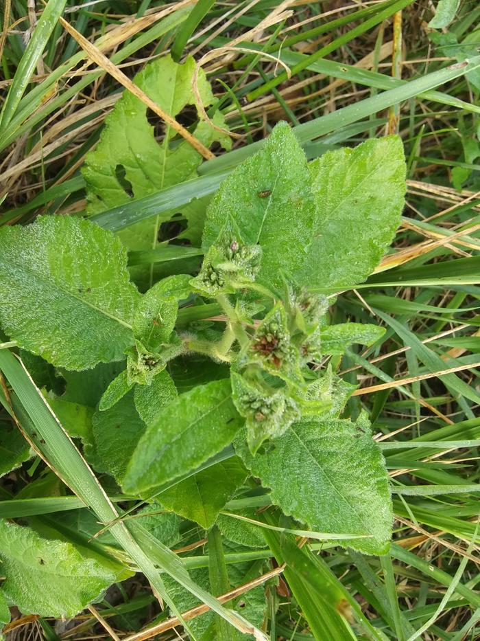 [Thumbnail for 20210816_092920.jpg]