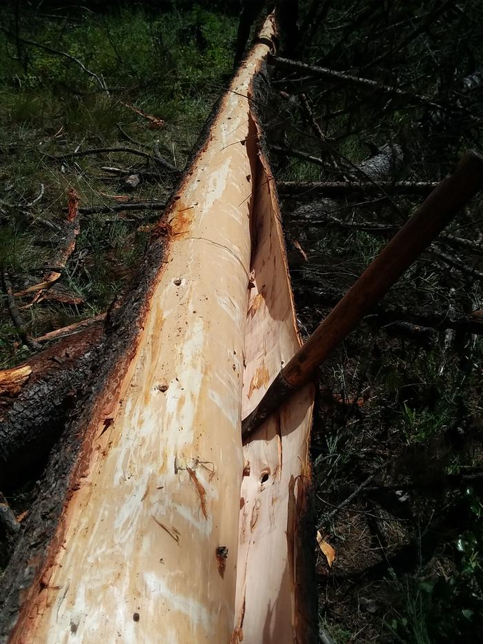 The zen of peeling logs