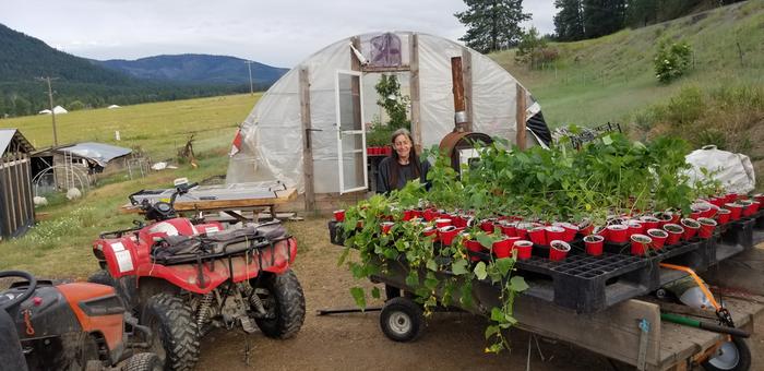 our new greenhouse filling spring plant orders