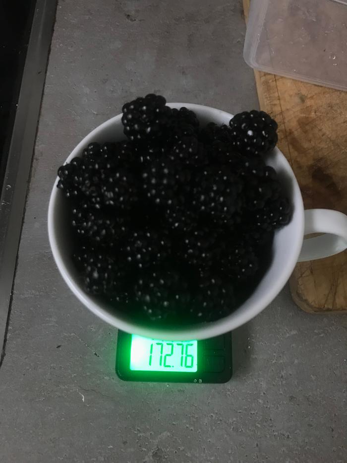 Brambles weighed.