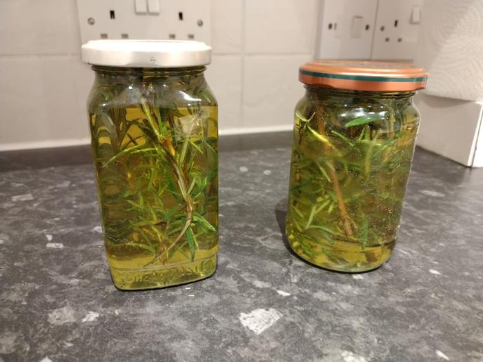 Rosemary infusing in the oil over a month